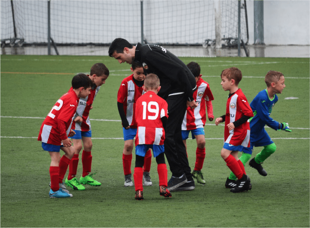 Ativo 15