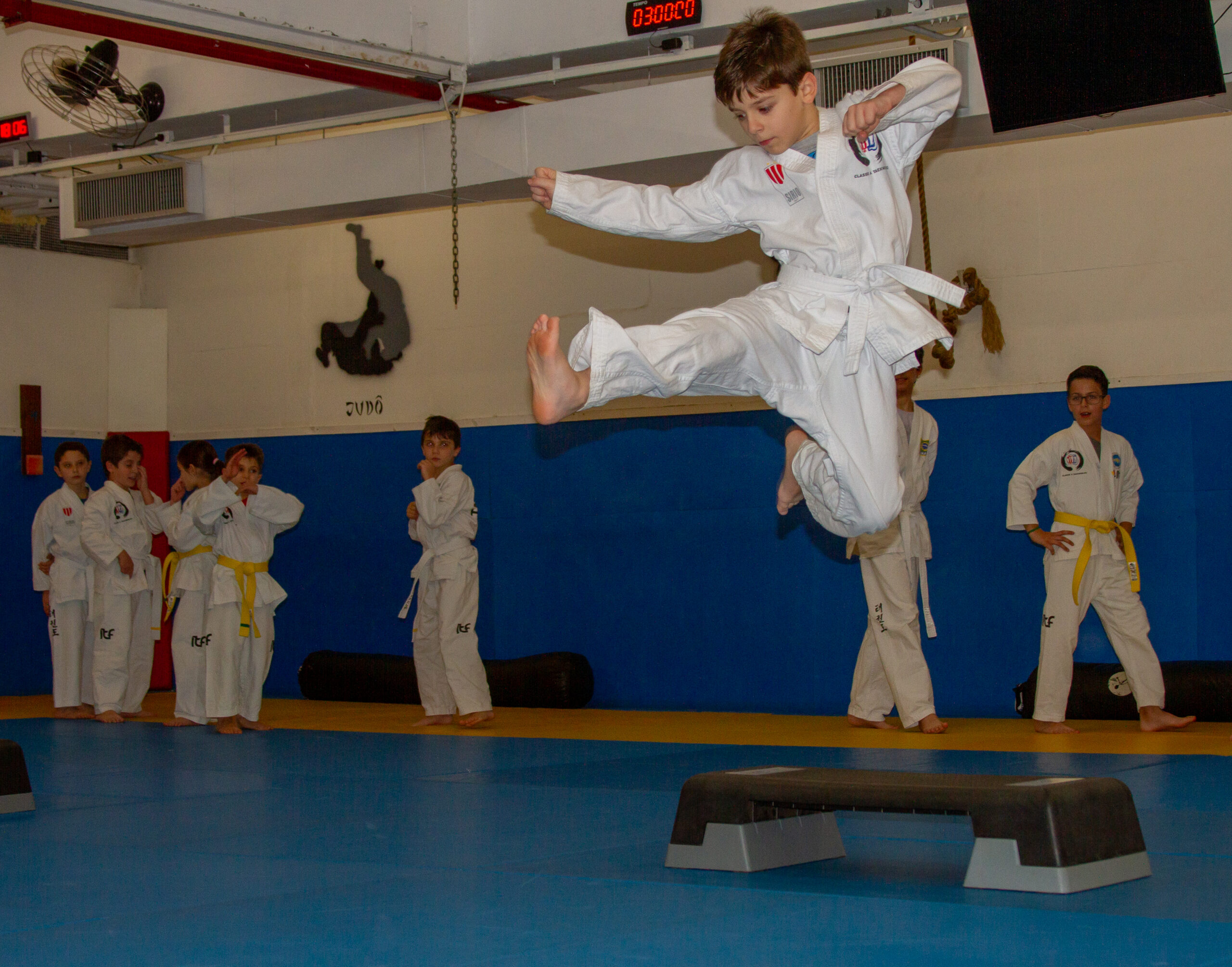 Artes Marciais